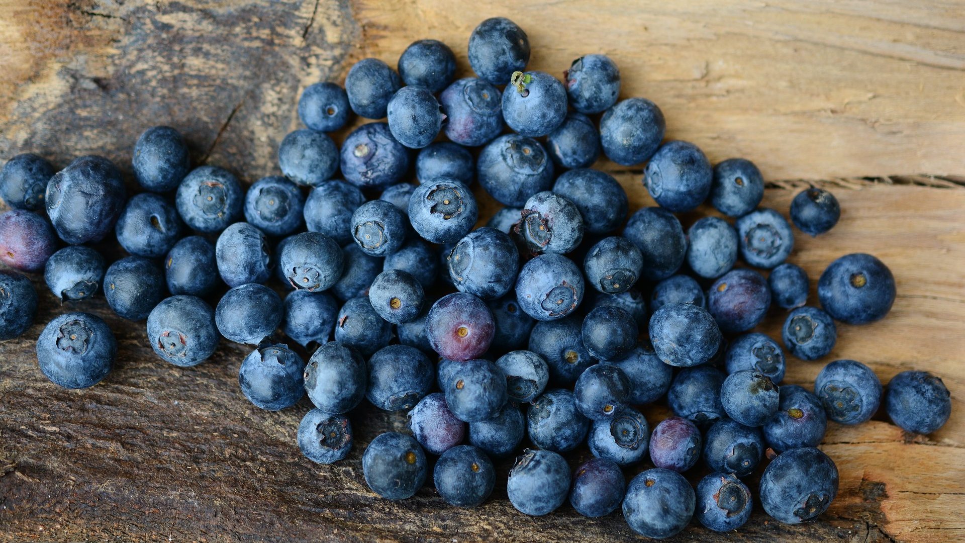 blueberries-2270379_1920